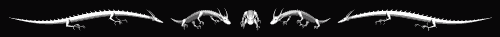 drakon-6.gif